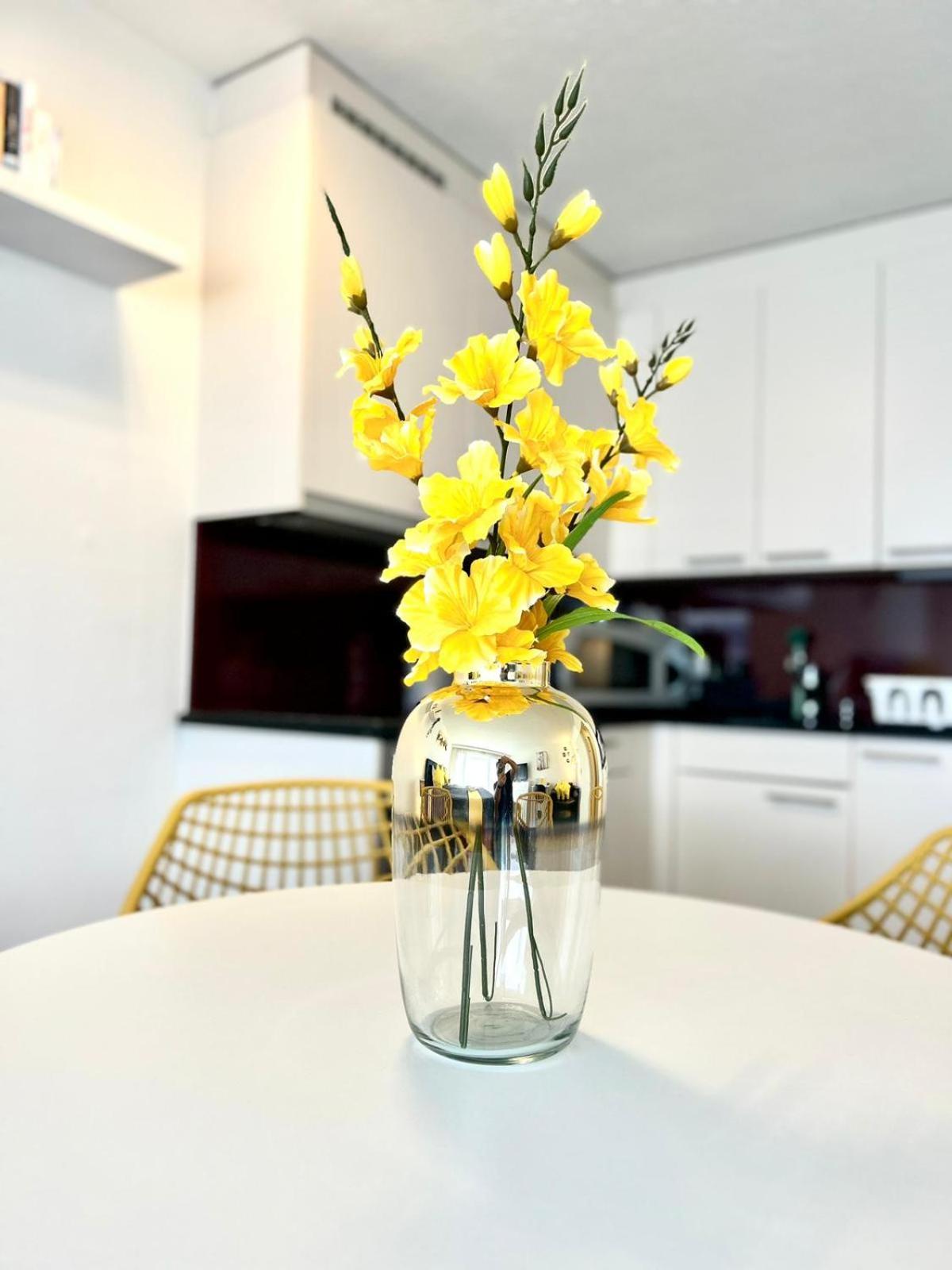 Little Penthouse **** Apartment Dietikon Luaran gambar