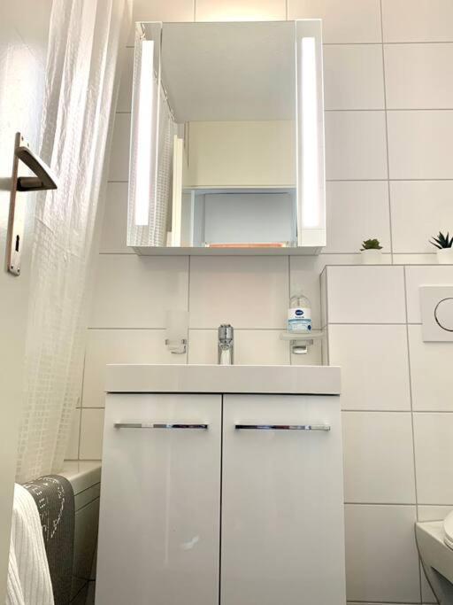 Little Penthouse **** Apartment Dietikon Luaran gambar