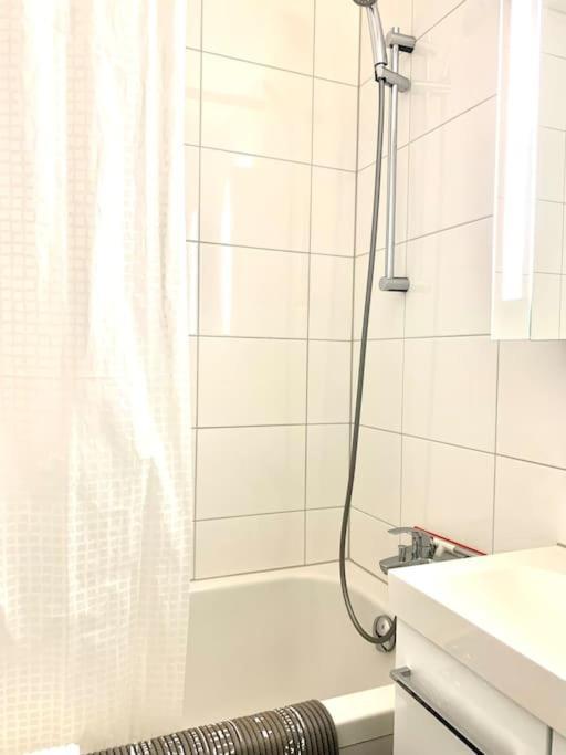 Little Penthouse **** Apartment Dietikon Luaran gambar