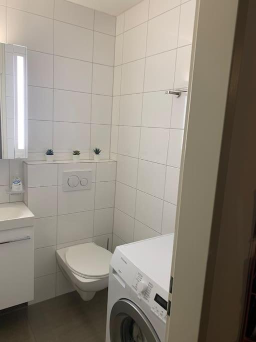 Little Penthouse **** Apartment Dietikon Luaran gambar