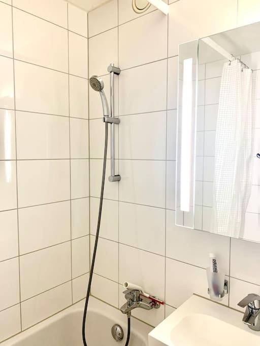 Little Penthouse **** Apartment Dietikon Luaran gambar