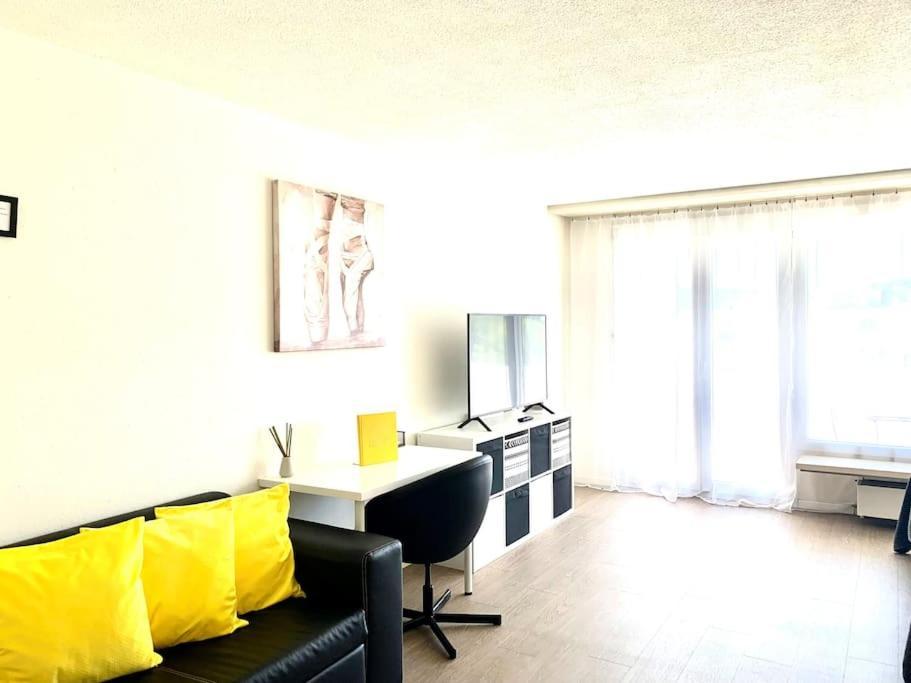Little Penthouse **** Apartment Dietikon Luaran gambar